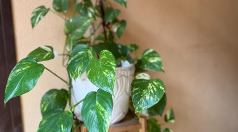 Photo 4 of Flat for sale in Cardedeu, Barcelona