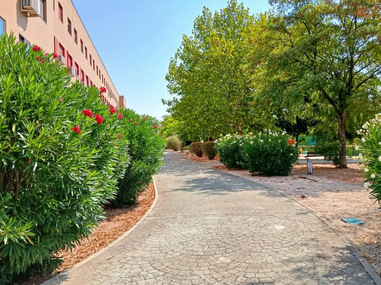 Dúplex en venta en Rivas Futura