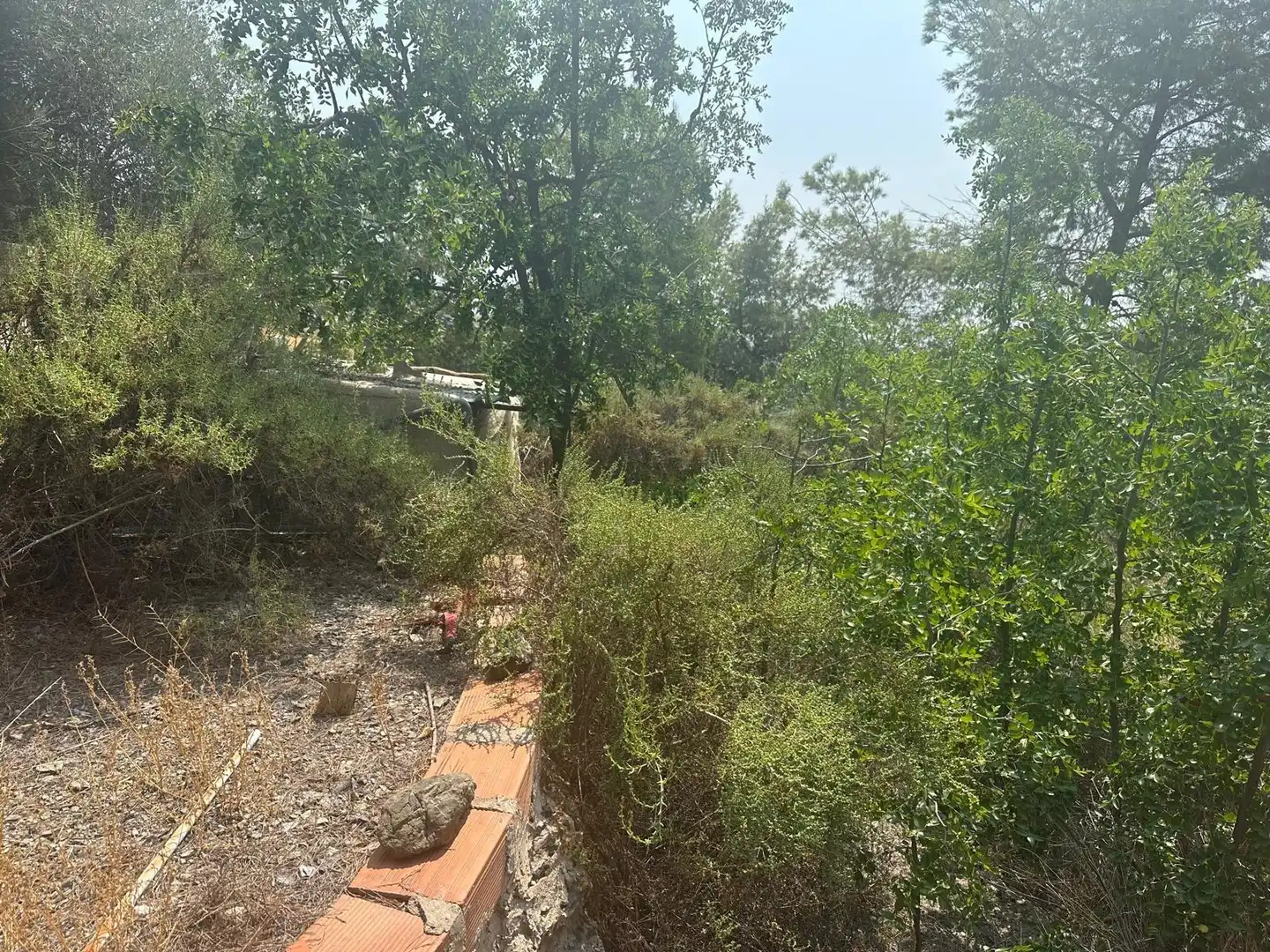 Terreno rústico en venta en Casco Antiguo, imagen 34