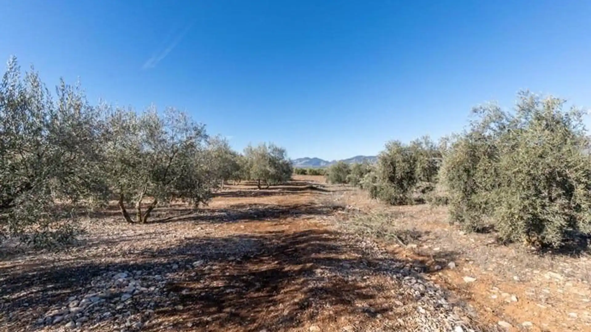 Finca rústica en venda en Cogollos de la Vega
