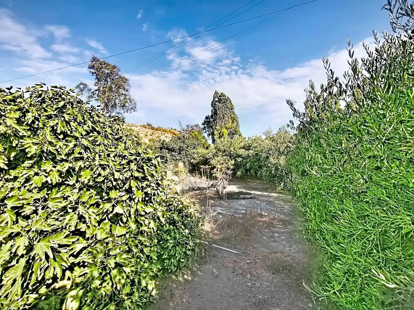 Casa rustica in vendita a Pechina, imagen 2