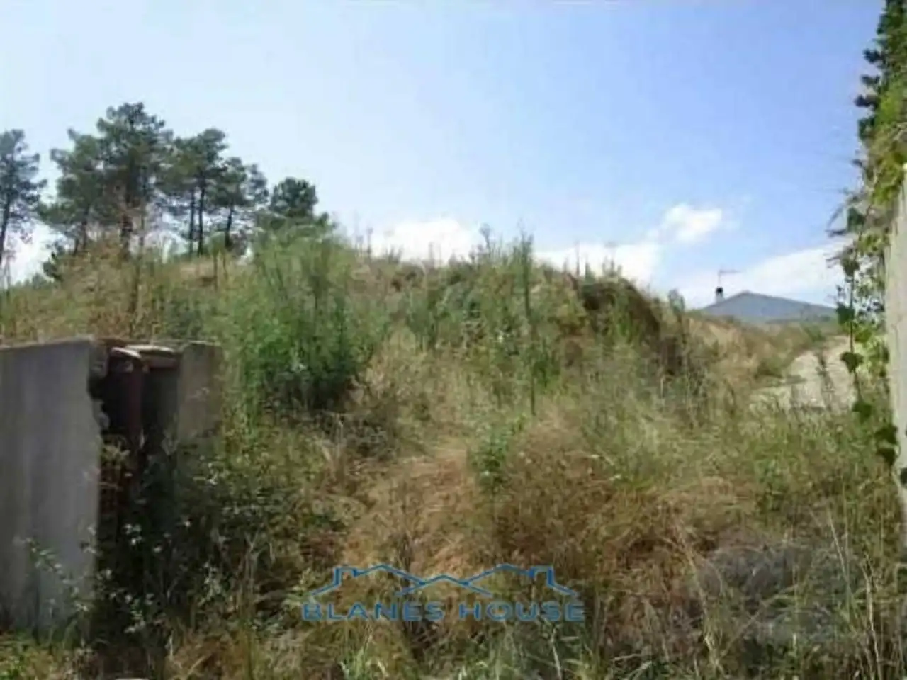 Terrain rustique à vendre à Calle CLAVELL 10, imagen 6