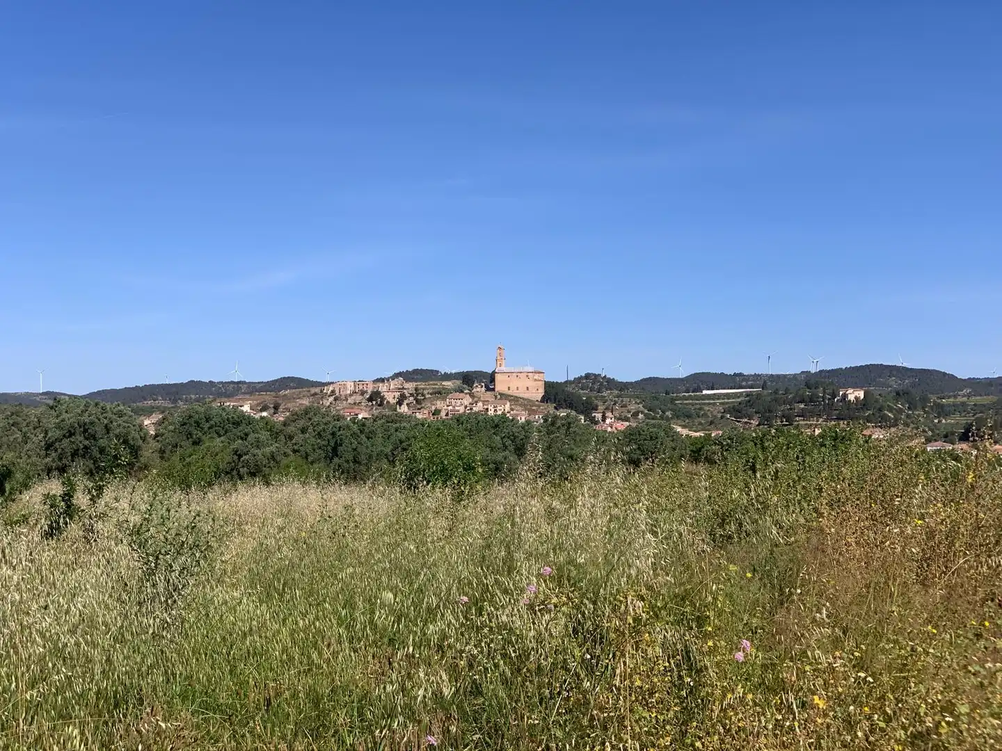 Terreno rustico in vendita a Corbera d'Ebre, imagen 10