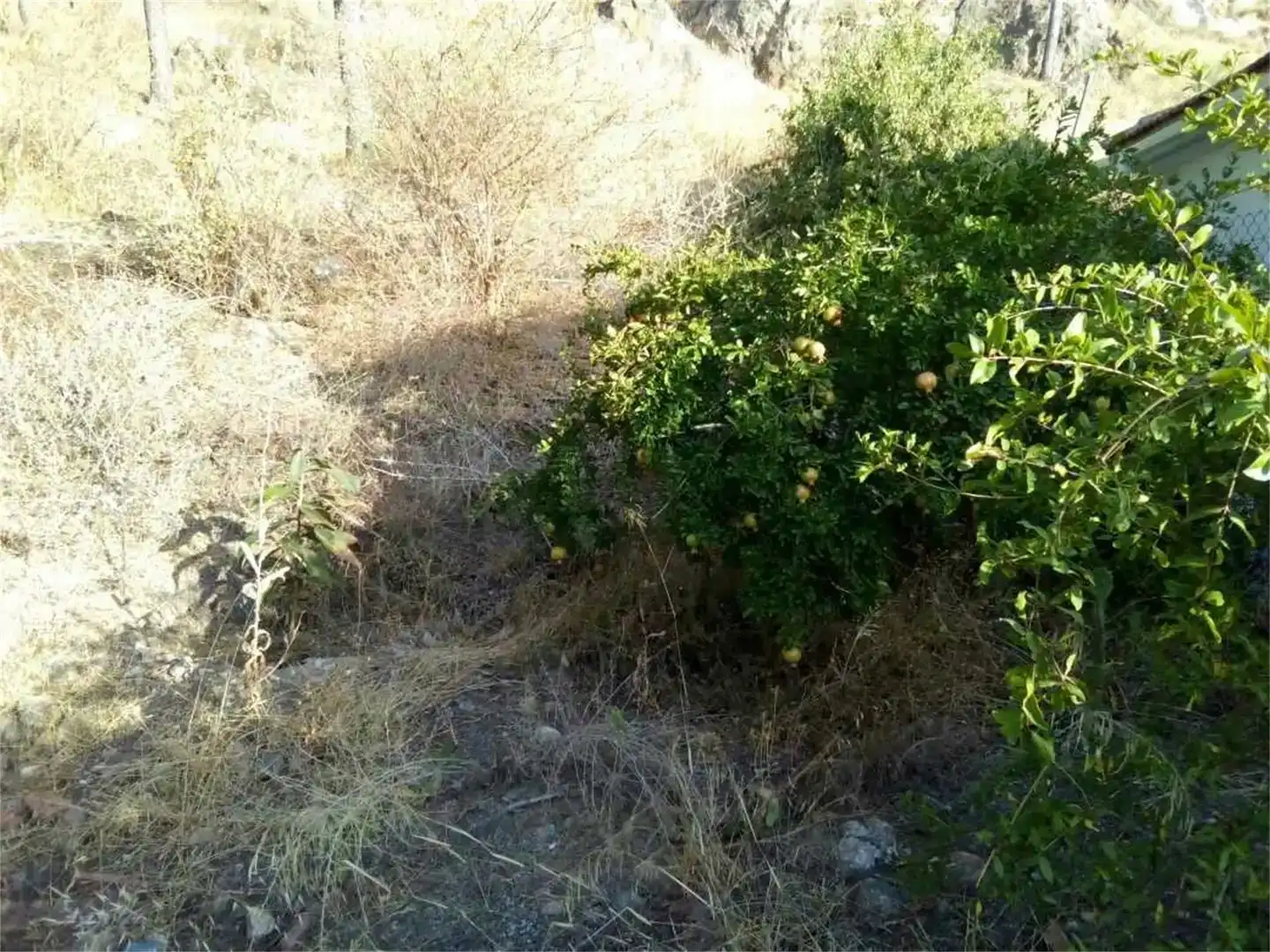 Terreno en venta en Pedanías Este