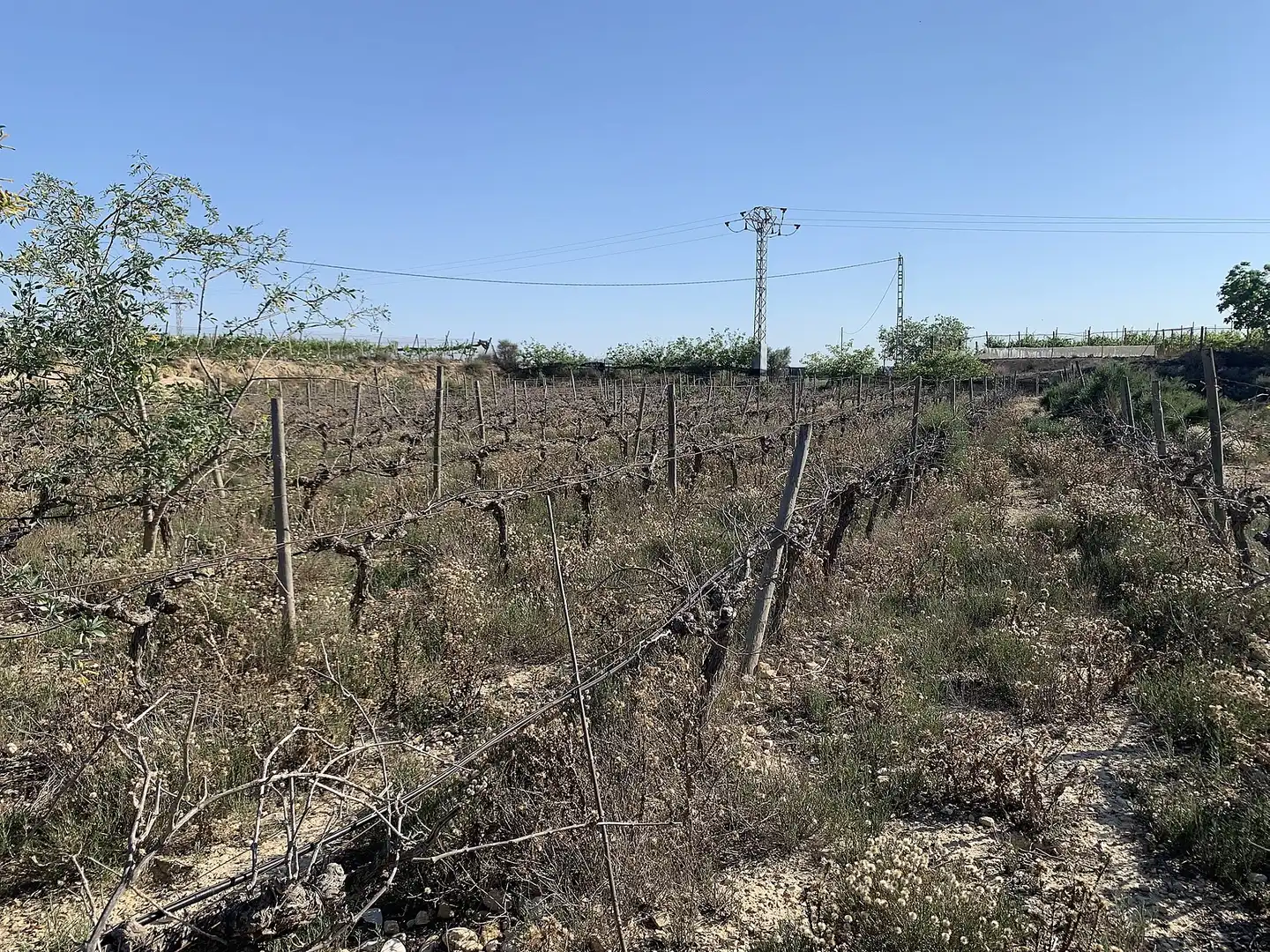 Terreno residencial en venta en Monforte del Cid, imagen 16