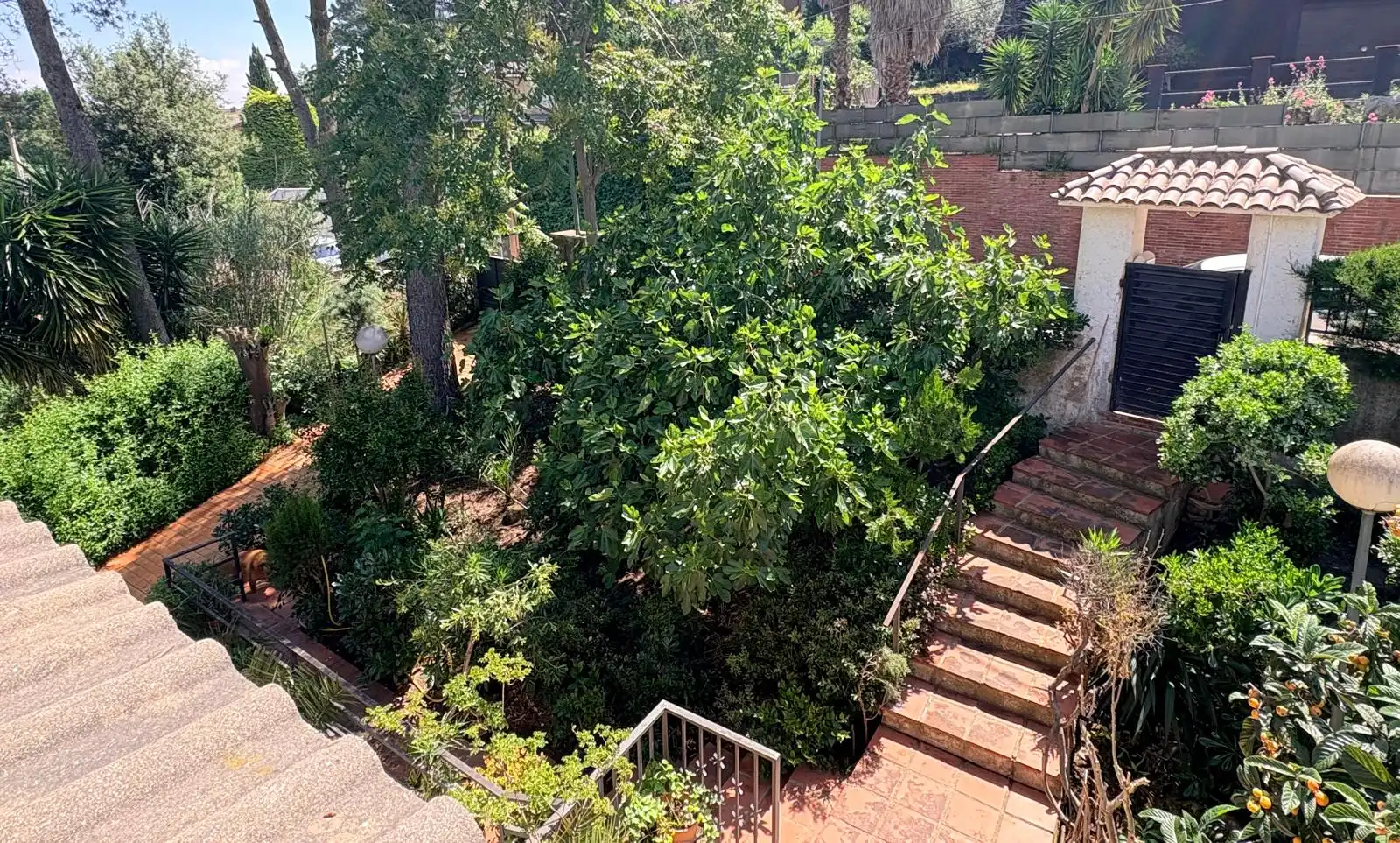 Jardín de Casa o chalet en venta en Corbera de Llobregat con Calefacción, Jardín privado y Terraza