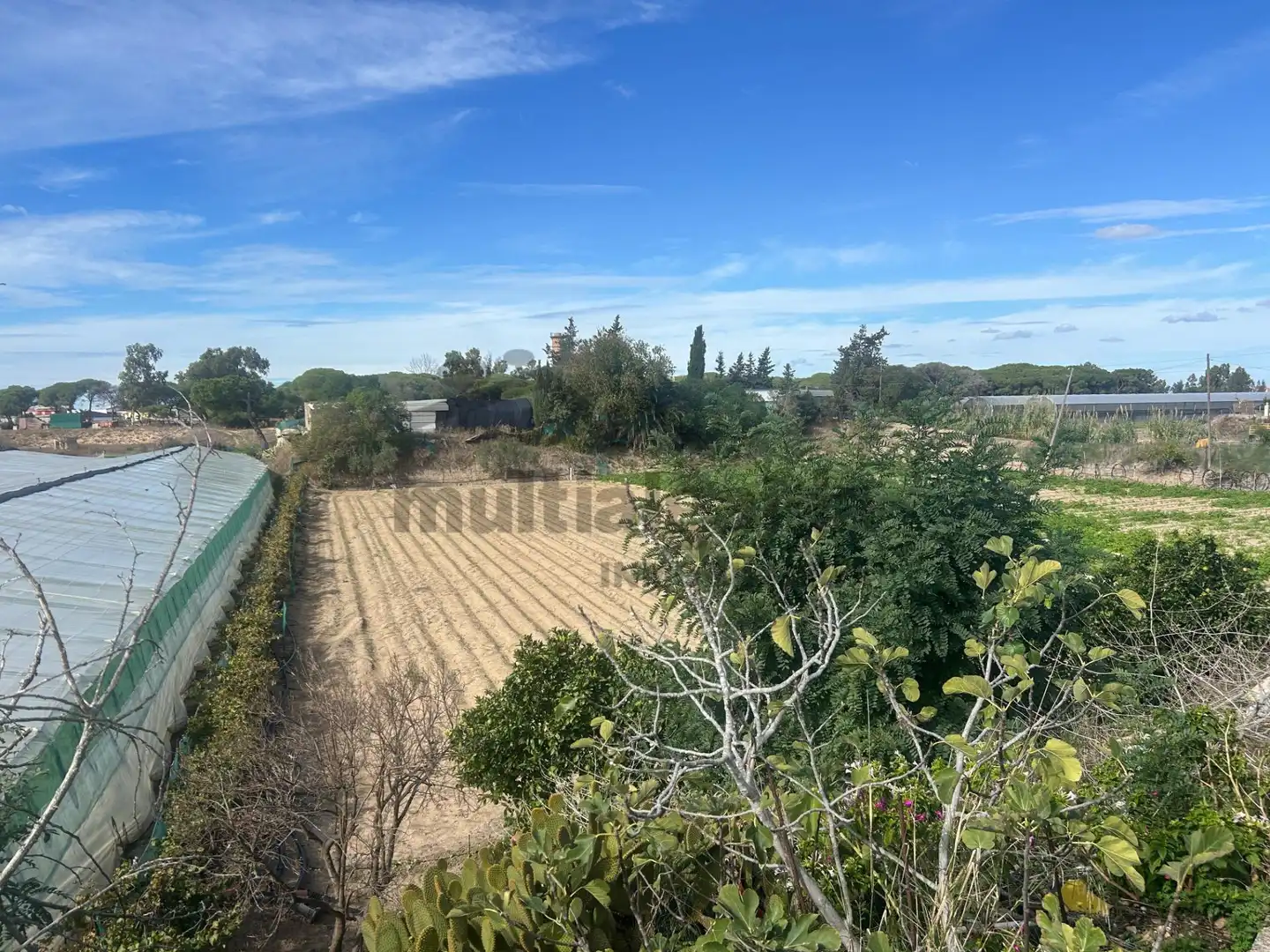 Finca rústica en venda en Sanlúcar de Barrameda amb Jardí privat