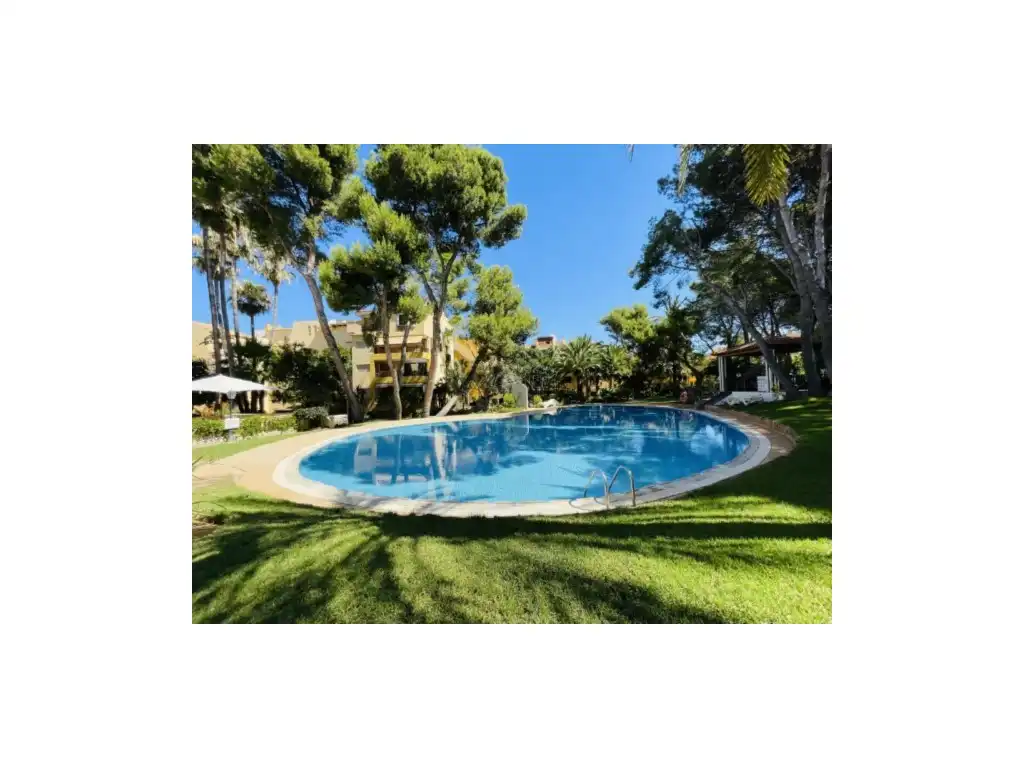 Piscina de Àtic de lloguer en Calvià amb Aire condicionat, Jardí privat i Terrassa