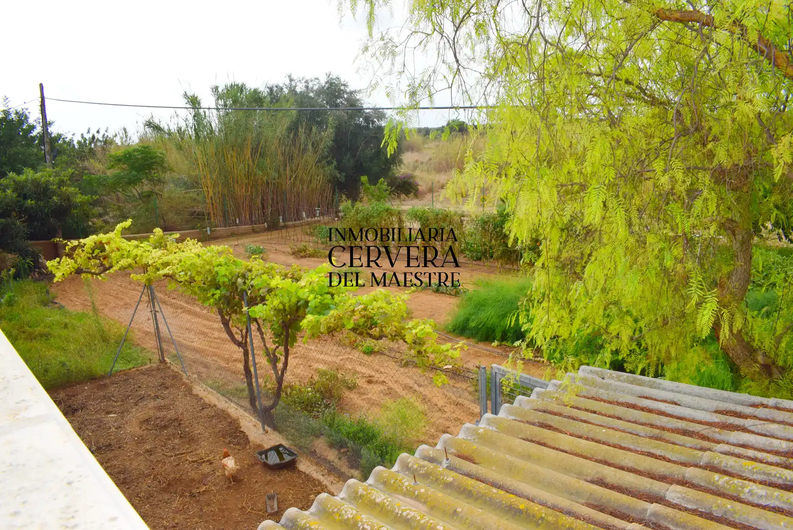 House with pool for sale in Partidas de interior - Zona Rústica, imagen 39