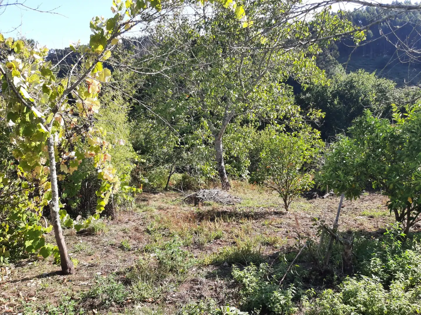 Houses for sale in Ferrol  with Furnished