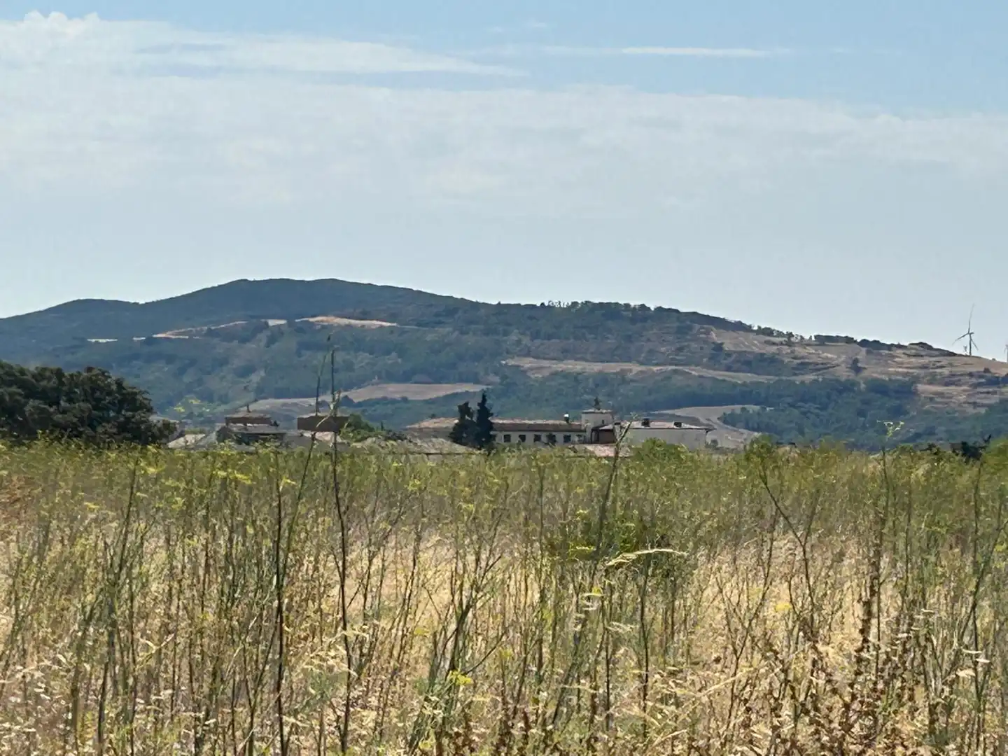 Terreny rústic en venda a 123 poligono 3, imagen 15