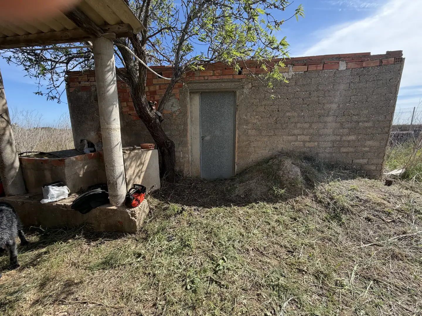 Garden of Land for sale in Alcossebre