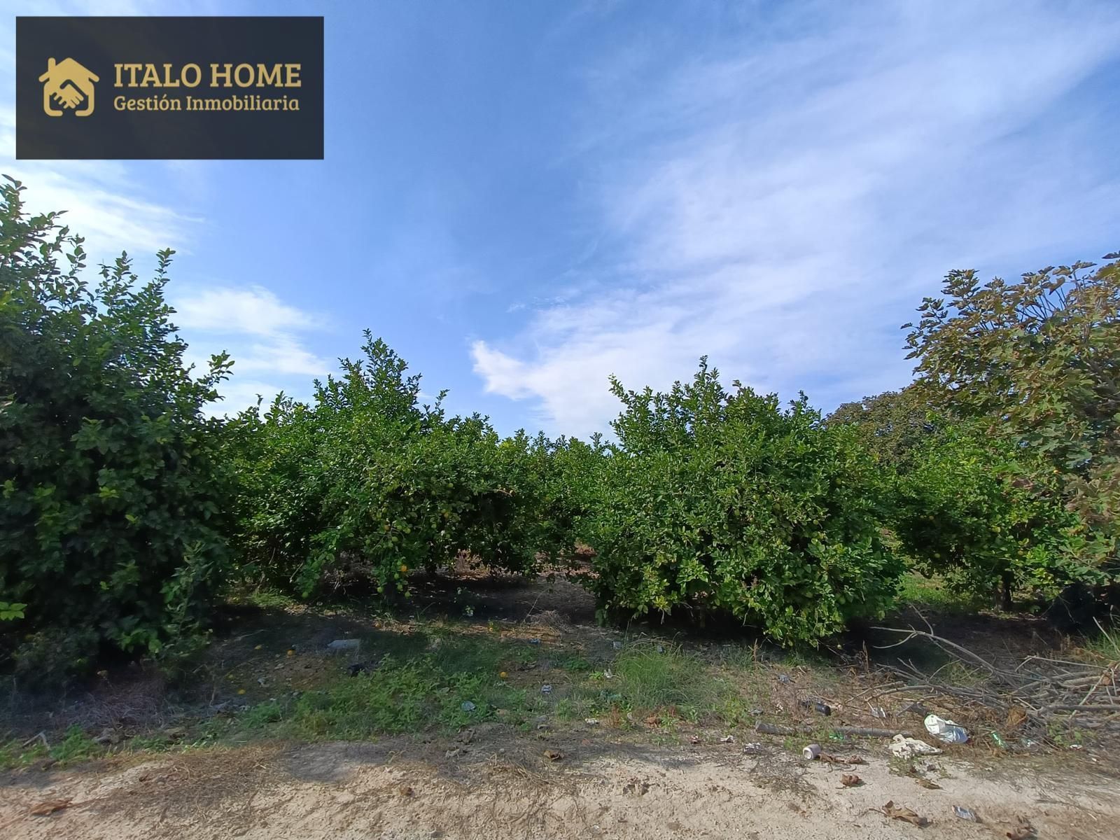 Residencial en venda en  Murcia Capital