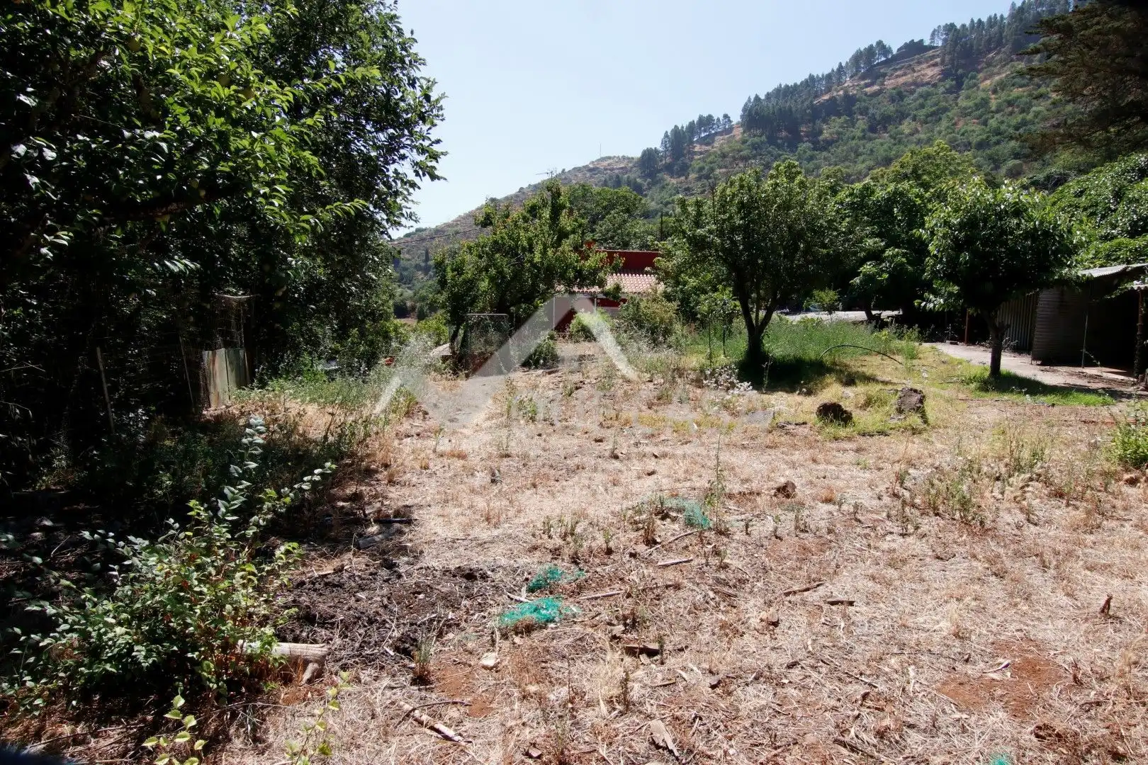 Terreno en venta en Vega de San Mateo