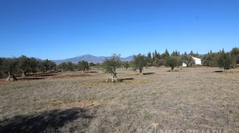 Foto 3 de Finca rústica en venta en Urbanizacion Carretera de Cartama, Centro, Alhaurín El Grande