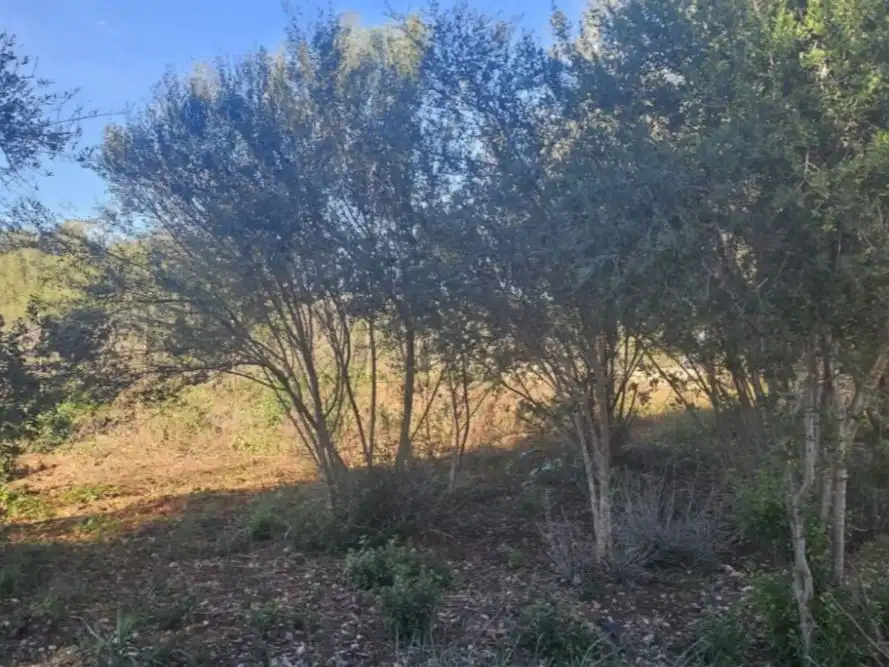 Land for sale in Inca