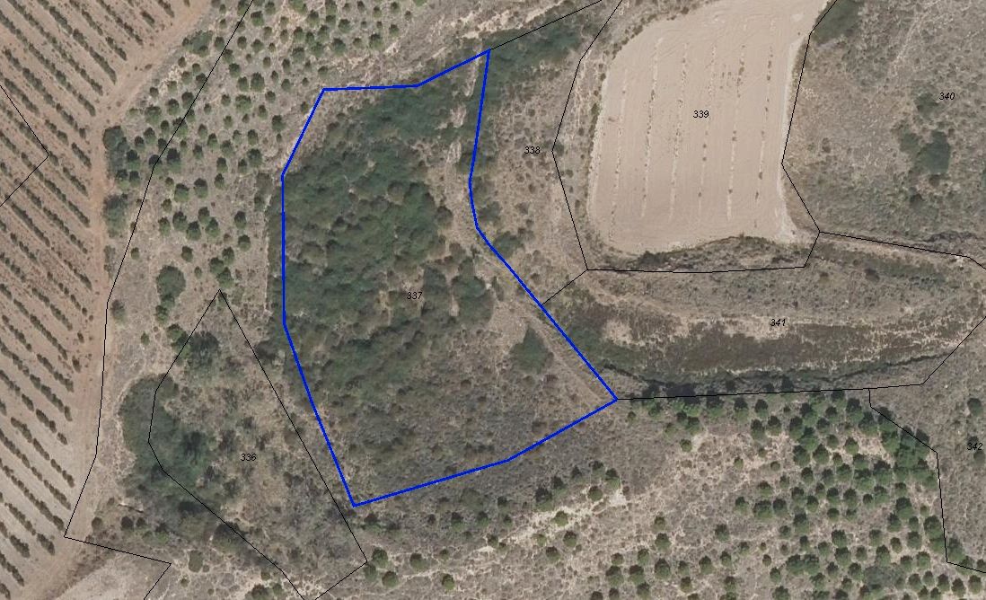 Land for sale in Clavijo