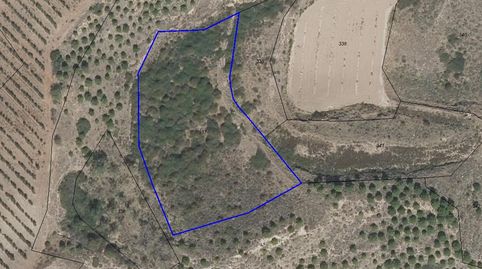 Finca de secano