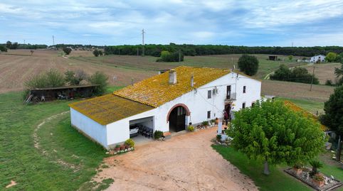 Finca rústica amb masia a Sils (Girona), imatge 5