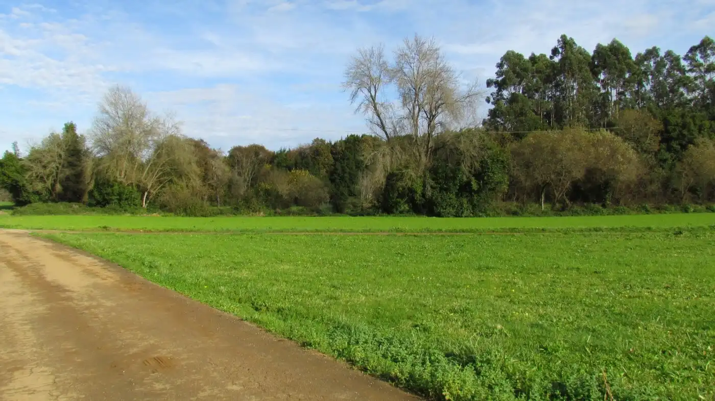 Country homes for sale in Ruiloba