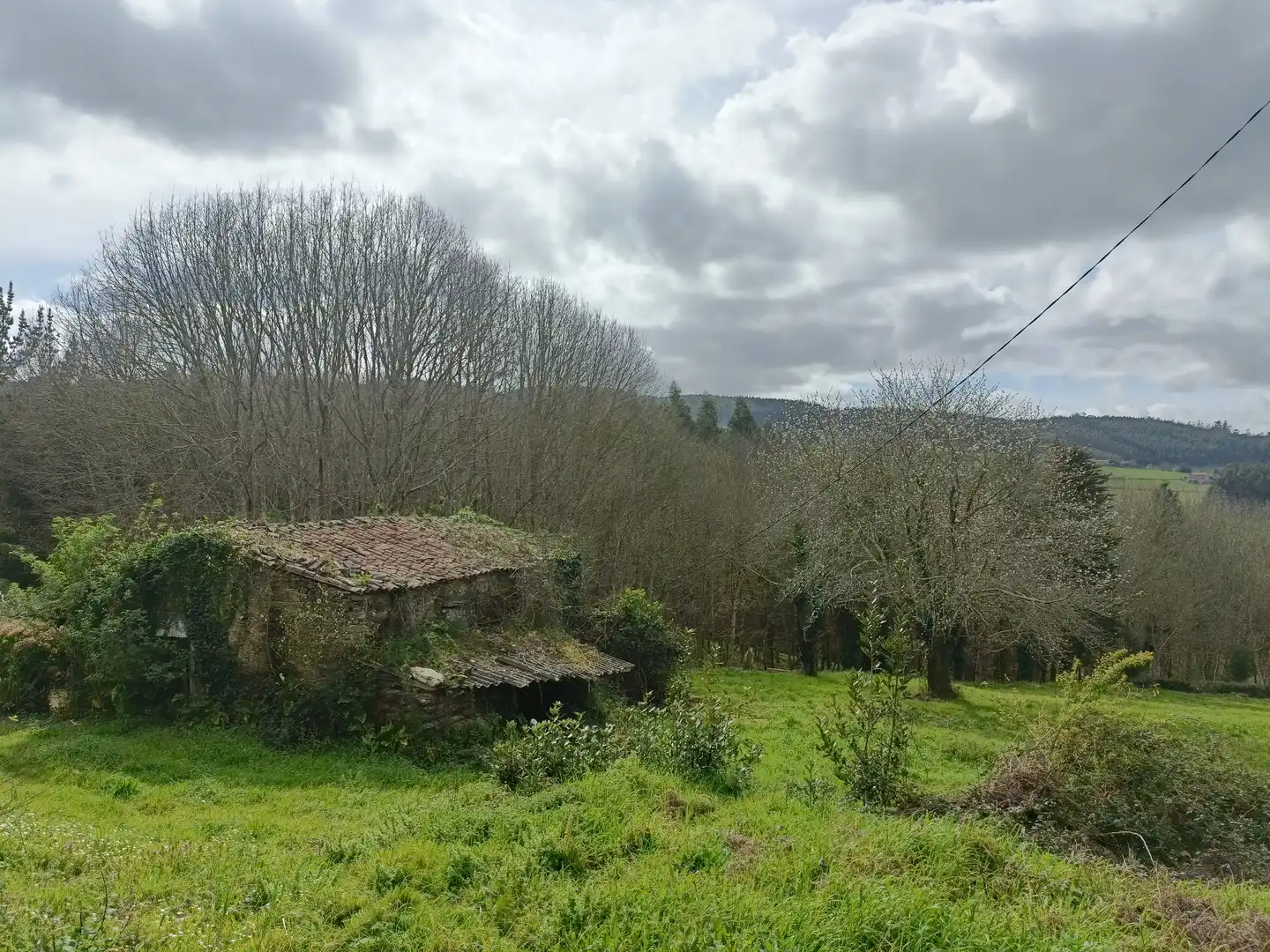 Maison avec jardin à vendre à Lugar Castelo, imagen 11