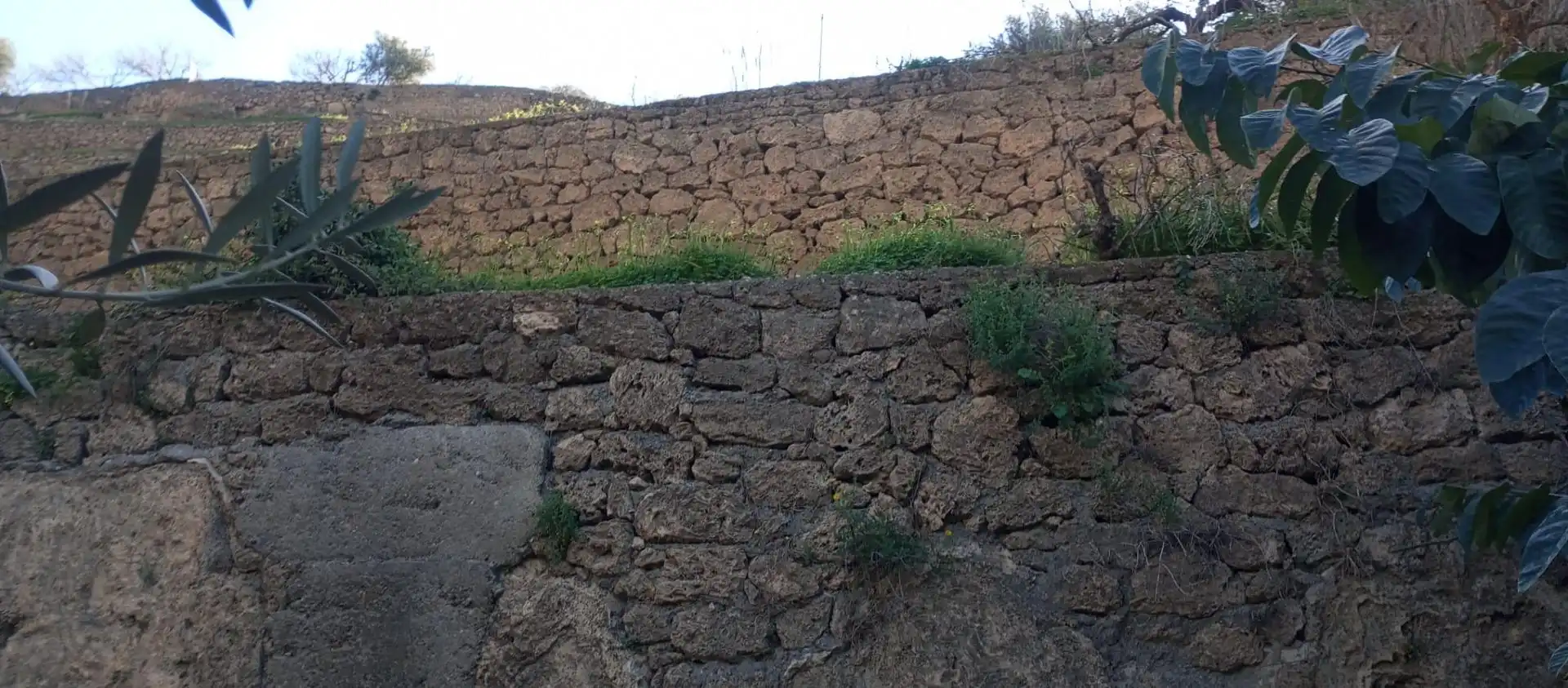 Casa rústica amb jardí en venda a Vélez de Benaudalla, imagen 16