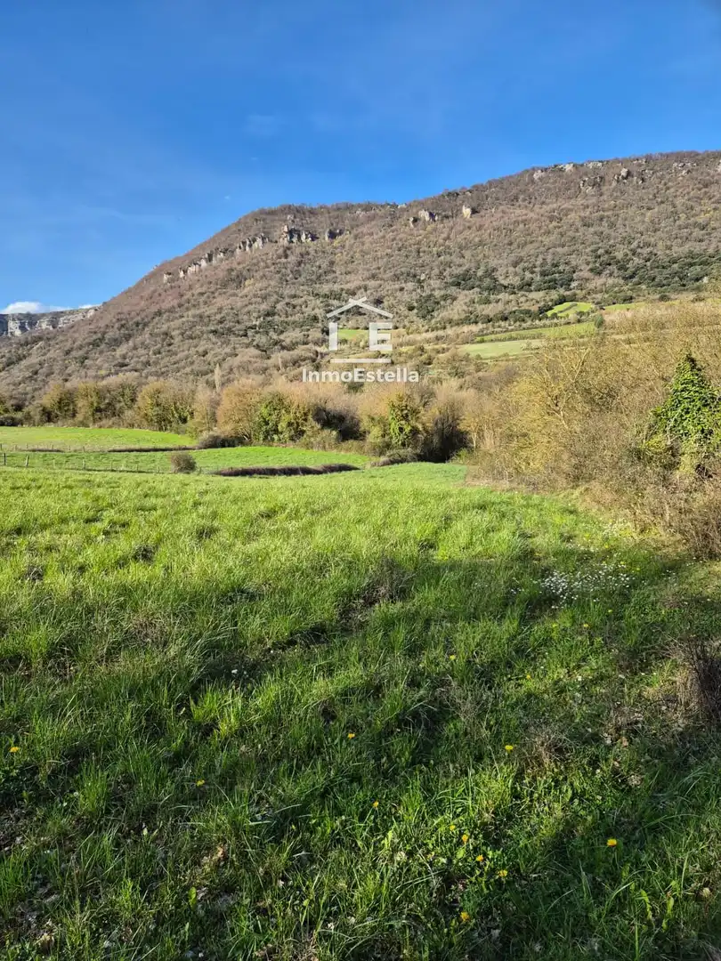 Land for sale in Améscoa Baja