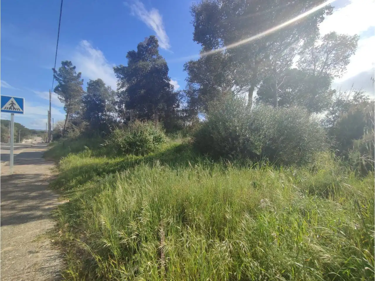 Terreny residencial en venda a Calle Pla de l´Estany, imagen 24