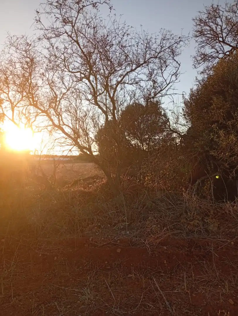 Terreno en venta en Conil de la Frontera