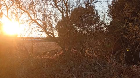 Foto 3 von Grundstücke zum Verkauf in Diseminado Pago Zorro, Roche, Conil de la Frontera