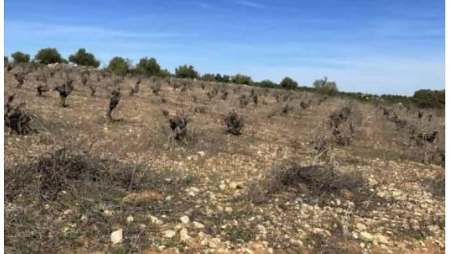 Residencial en venta en Belmonte de Tajo