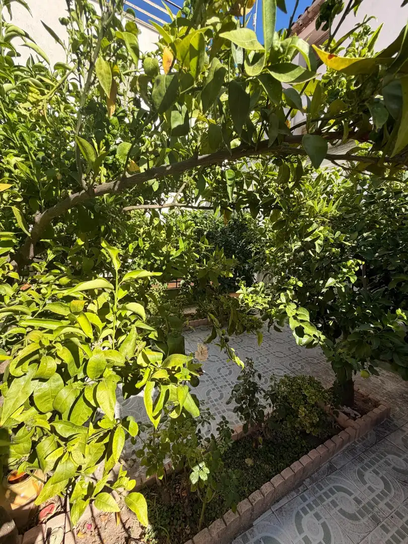 Casa con terraza en venta en Tivissa, imagen 52