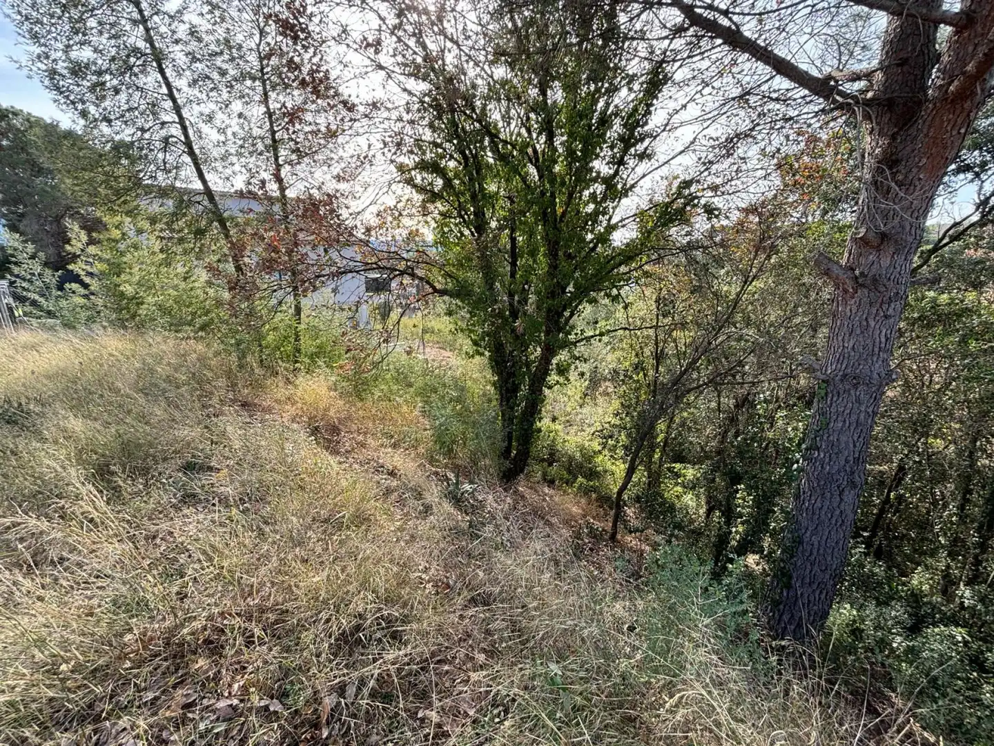 Terreno residencial en venta en Riells i Viabrea, imagen 2