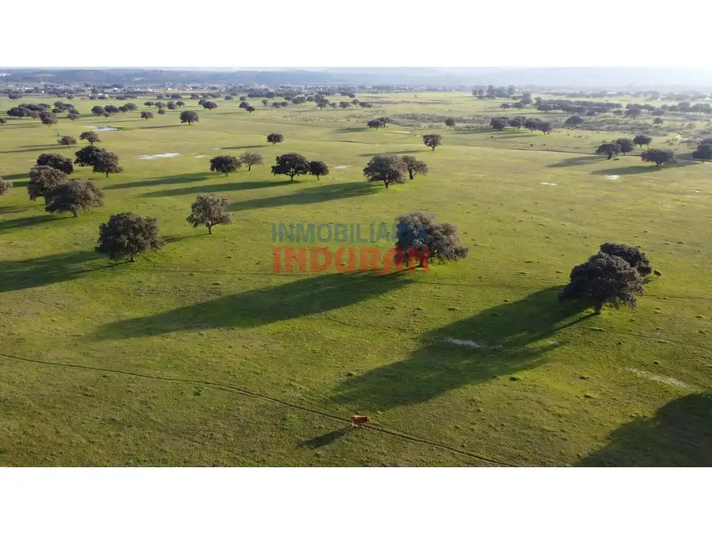 Casa o xalet en venda en Saucedilla
