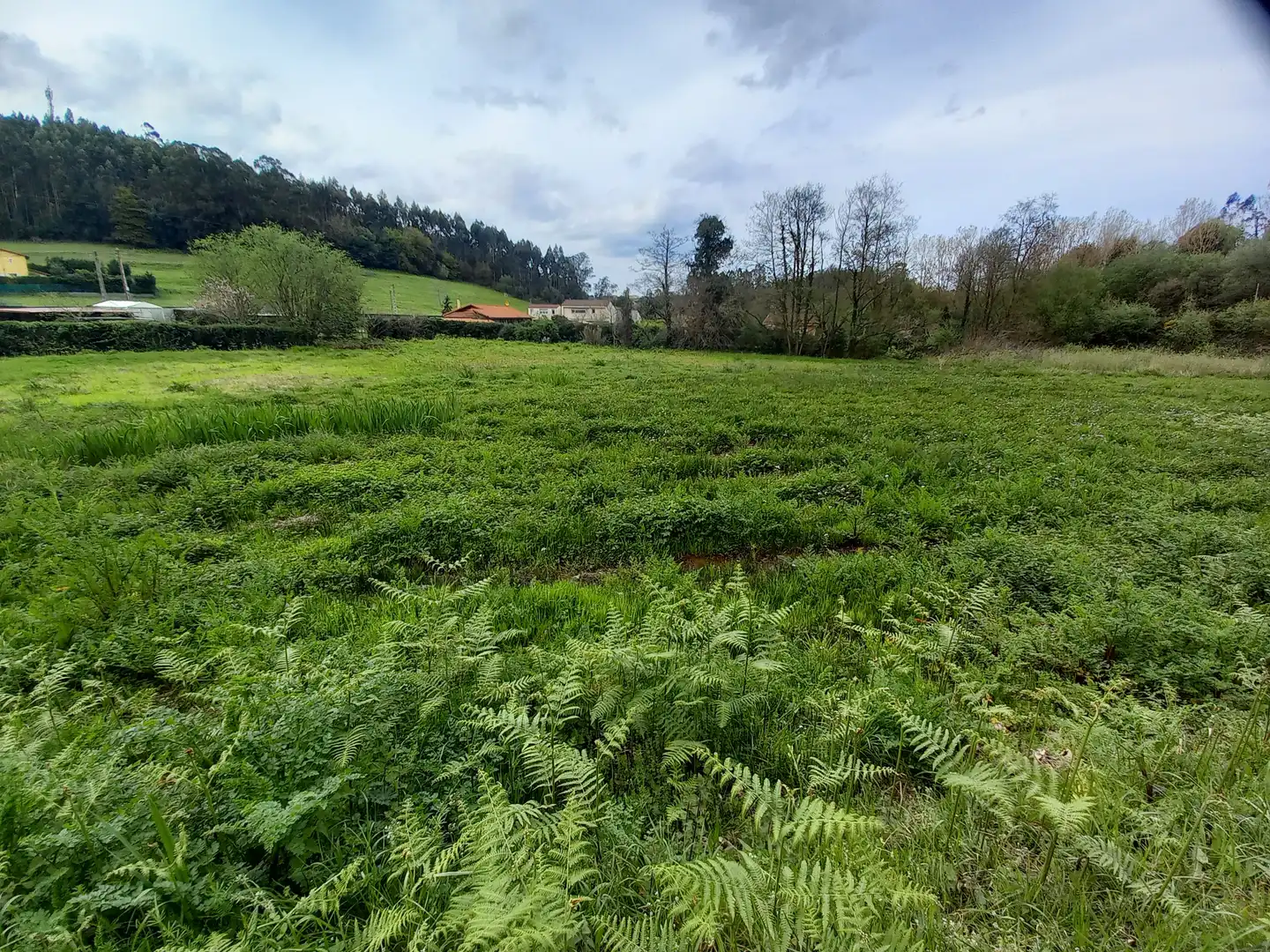 Terreno en venta en N/A, 28, Pillarno