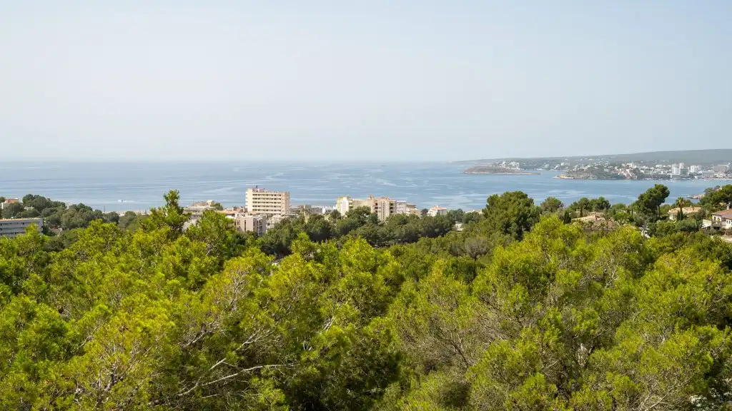 Exterior view of Houses for sale in Calvià  with Air Conditioner, Heating and Private garden