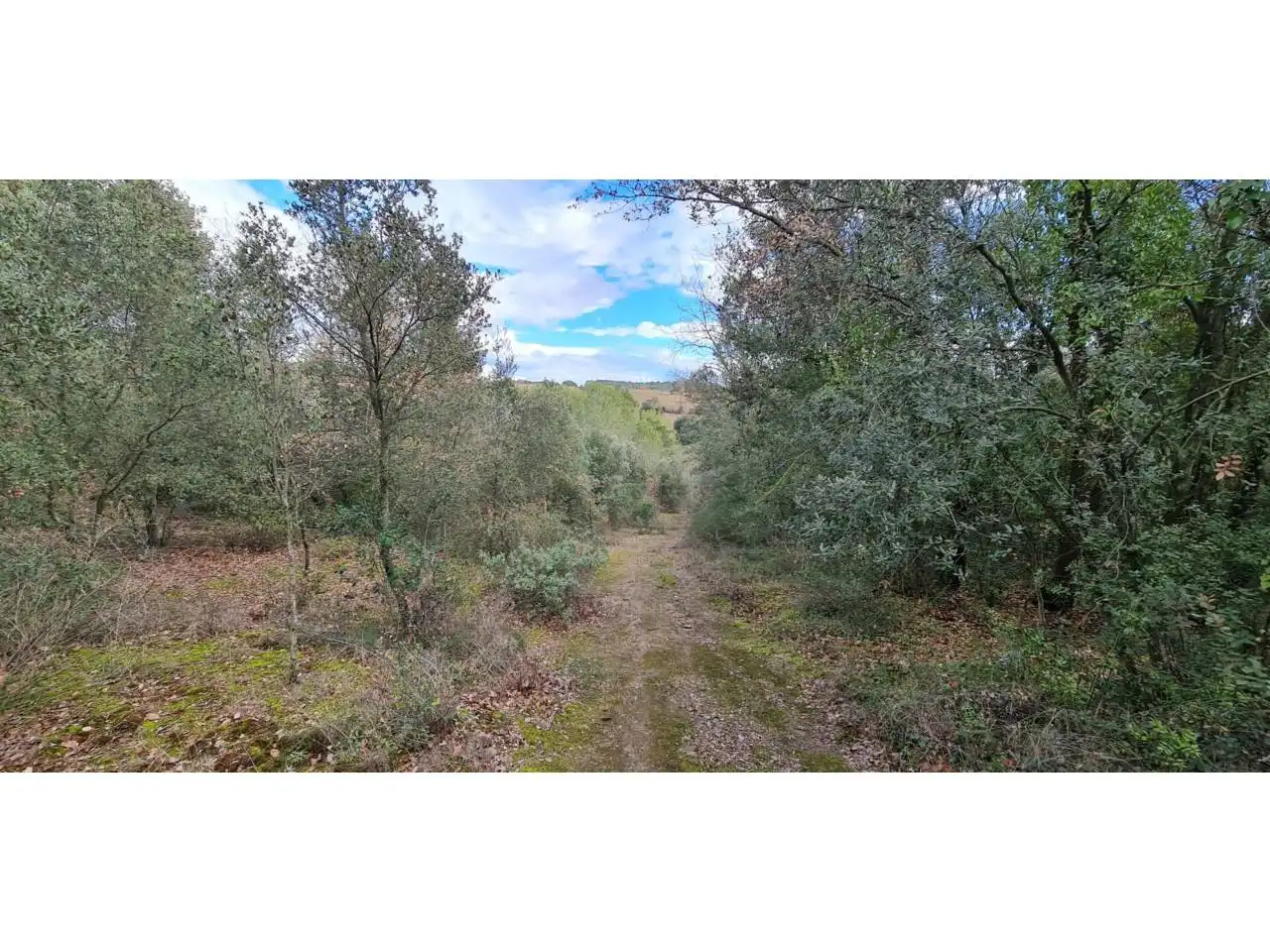 Rural land for sale in Lliçà d'Amunt, imagen 20