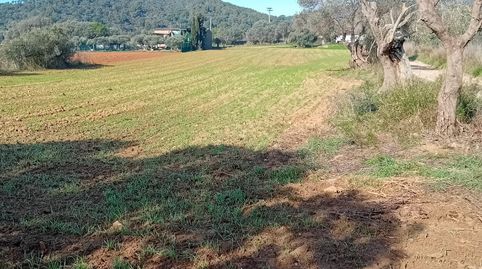 Foto 4 de Terreno en venta en Sant Joan - Vilarromà, Palamós