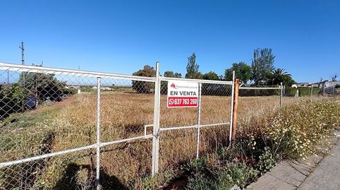 Este solar se encuentra en Avenida de Arrayanes de Linares, con una superficie de unos 5245m2.
Es un terreno rustico, bien situad, immagine 2