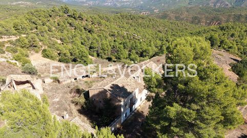 LUXURY COUNTRY ESTATE  FINCA PRIVADA DE 440 HECTÁREAS EN REQUENA  AGUA, BOSQUE, VIÑEDO Y POSIBILIDAD CINEGÉTICA, immagine 4