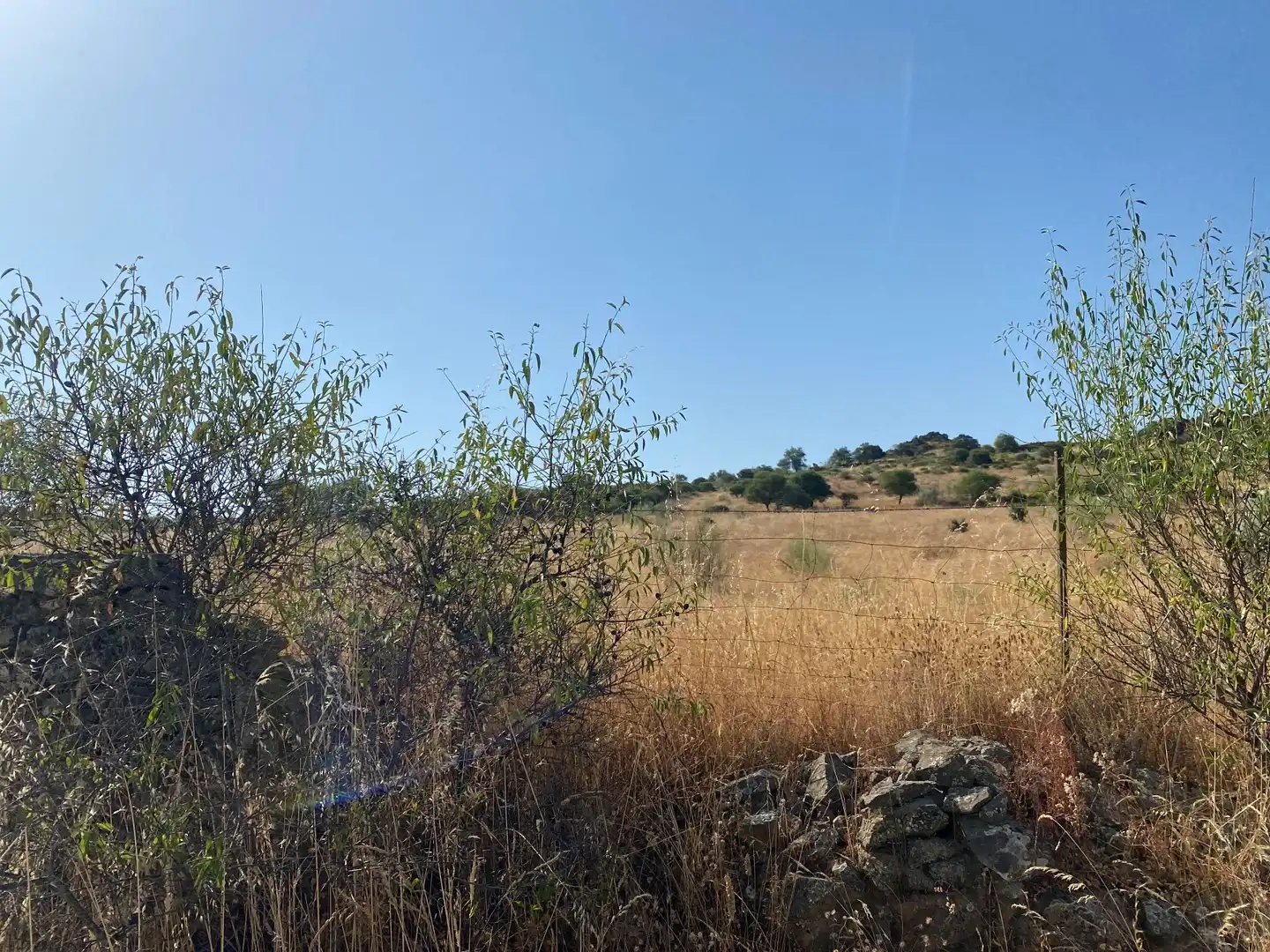 Grundstücke zum Verkauf in Aldeanueva de San Bartolomé