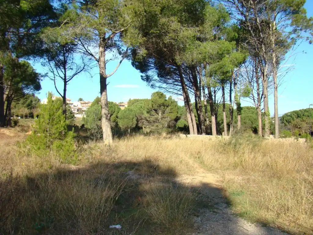 Grundstücke und Bauplätze zum Verkauf in dels Països Catalans, imagen 3