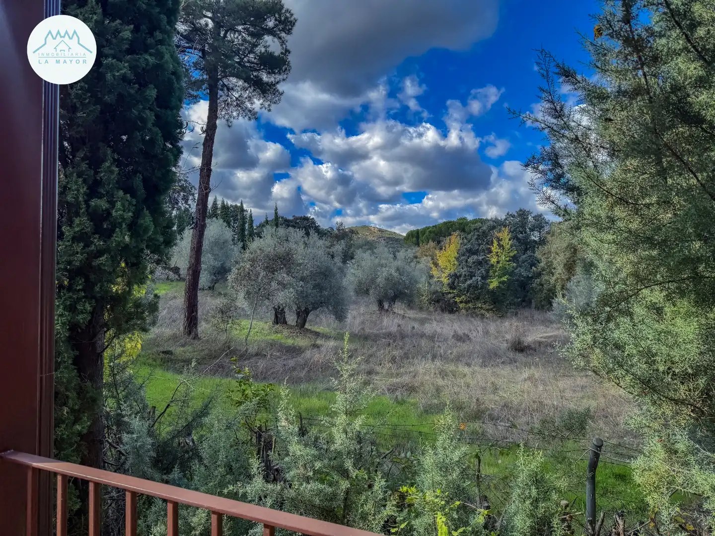 Jardín de Casa o chalet en venta en Piedrabuena con Calefacción, Jardín privado y Terraza