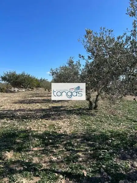 Grundstücke und Bauplätze zum Verkauf in Polígono parcela 593 9, imagen 10