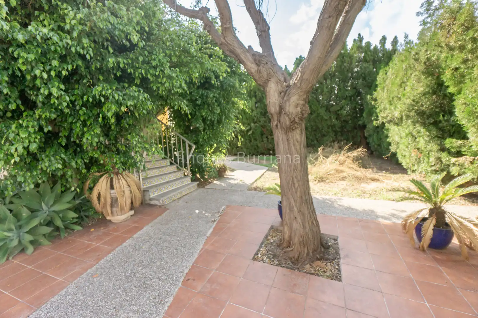 Jardín de Casa o chalet en venta en Burriana / Borriana