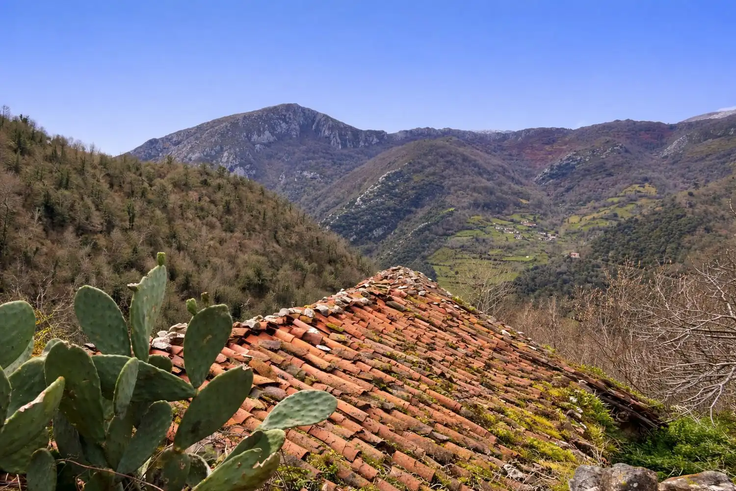 Vista exterior de Casa o chalet en venta en Proaza con Piscina