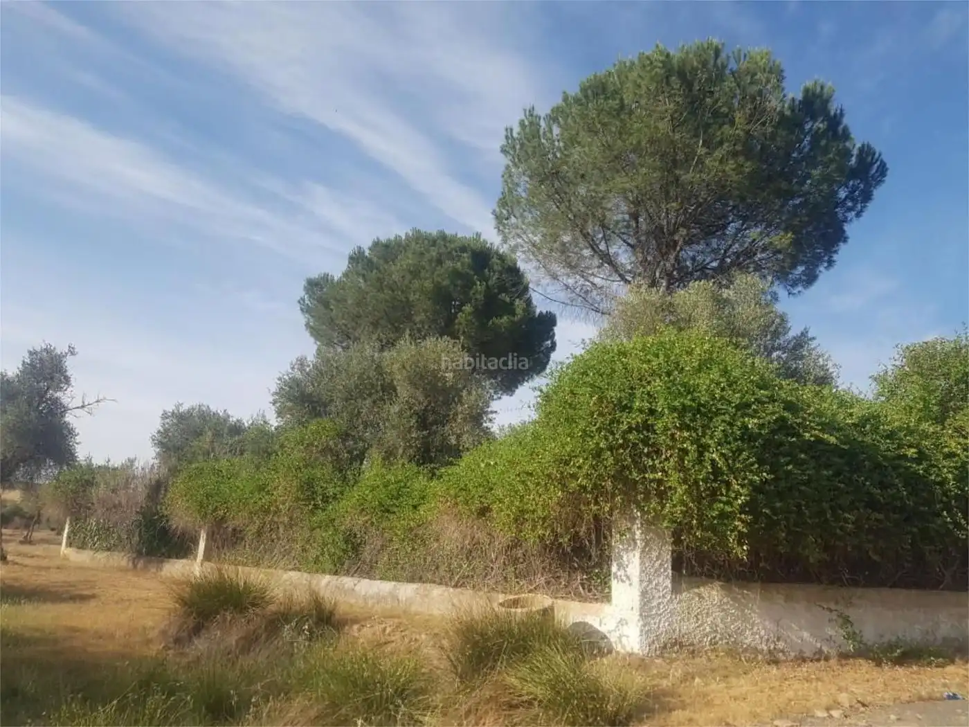 Casa amb jardí en venda a Calle Tapijo 50, imagen 9