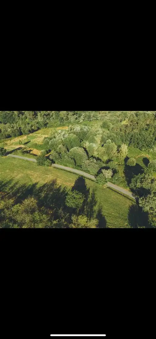 Casa o xalet en venda en A Merca   amb Jardí privat, Terrassa i Moblat