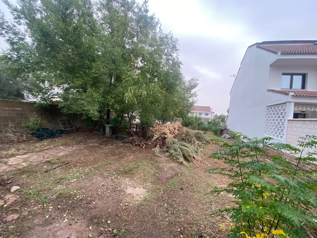 Terreny residencial en venda a Calle Olmos, imagen 3
