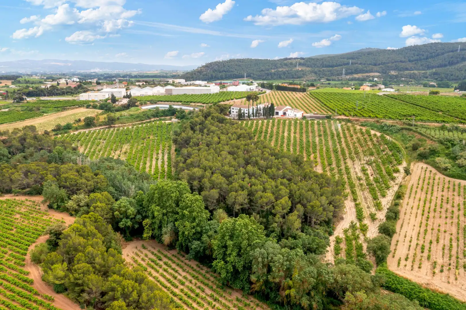 Casa rústica amb piscina en venda a Carrer de la Serra de Dalt 15, imagen 16